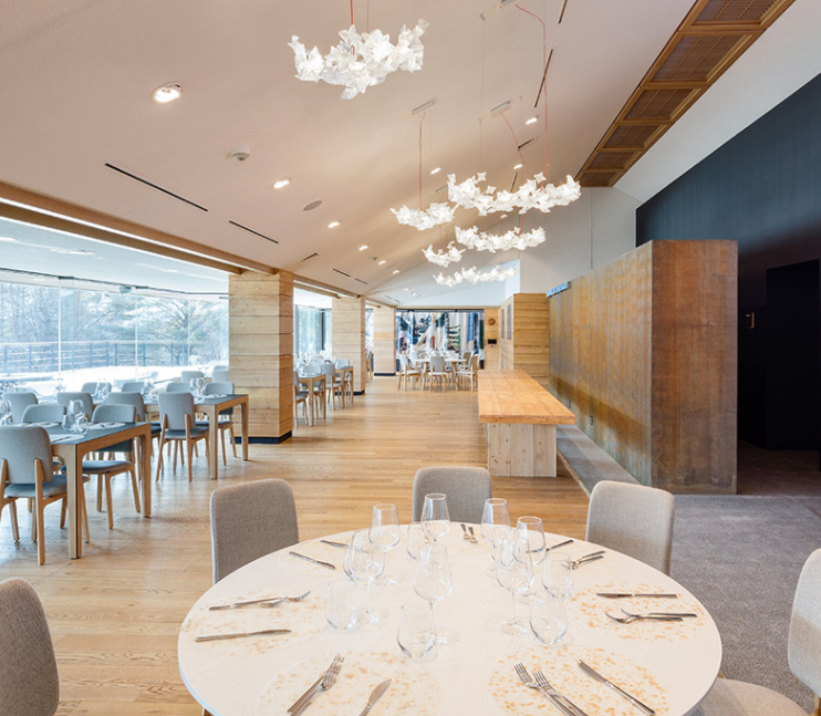 Italian Art Star Cluster Suspension Pendant Chandelier for Kitchen Island / living / dining Room