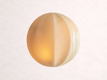 Agnes Clamshell Sconce