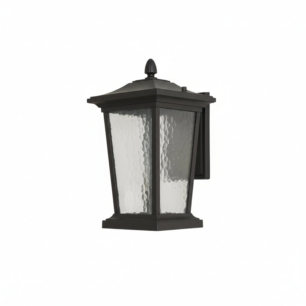 Lodge Birdcage Outdoor Wall Lamp Black Metal Clear Glass