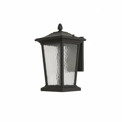 Lodge Birdcage Outdoor Wall Lamp Black Metal Clear Glass