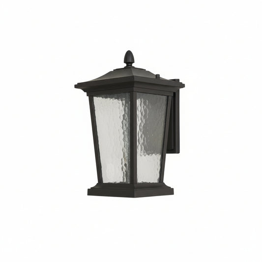 Lodge Birdcage Outdoor Wall Lamp Black Metal Clear Glass