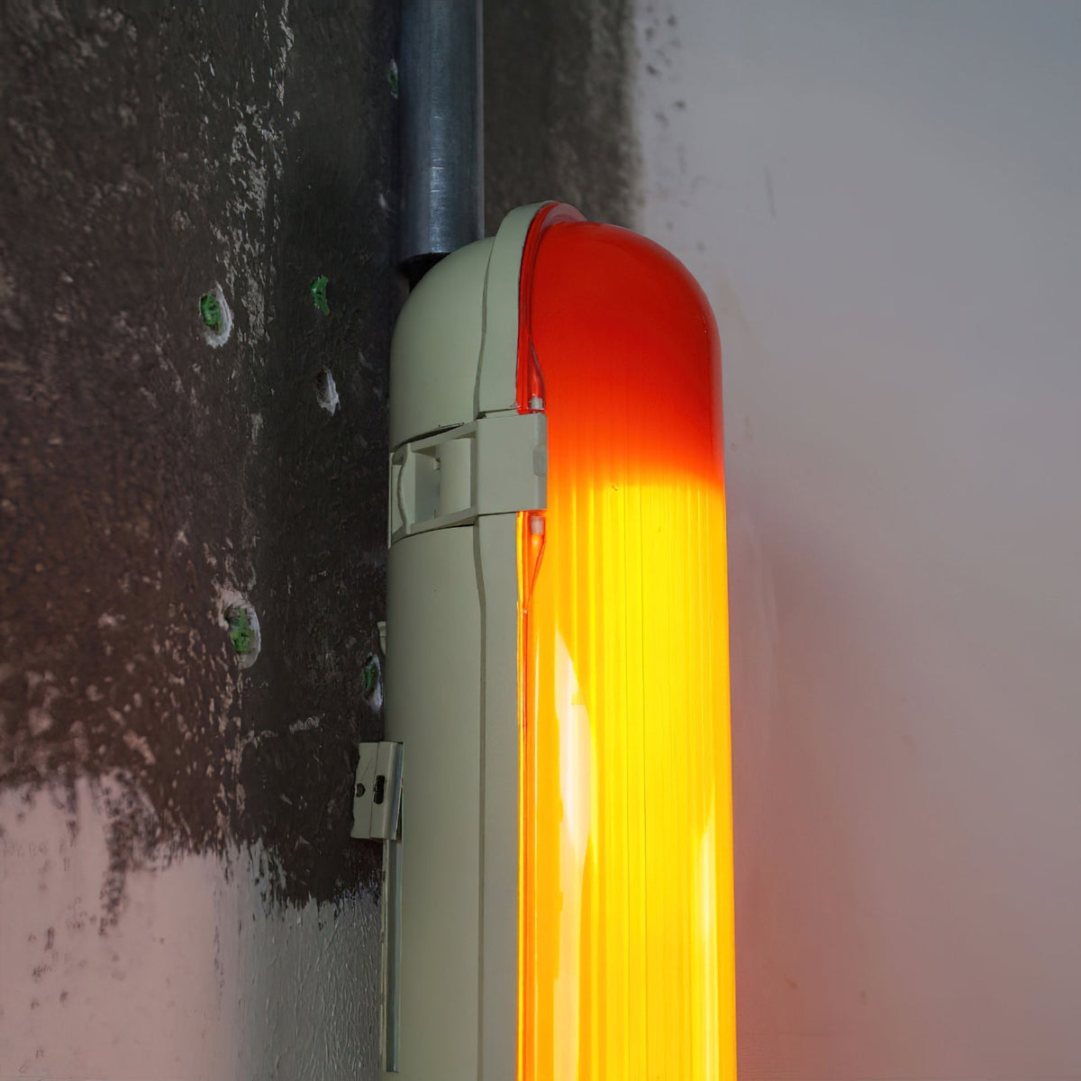 Capsules Joy Plug-in Wall Lamp