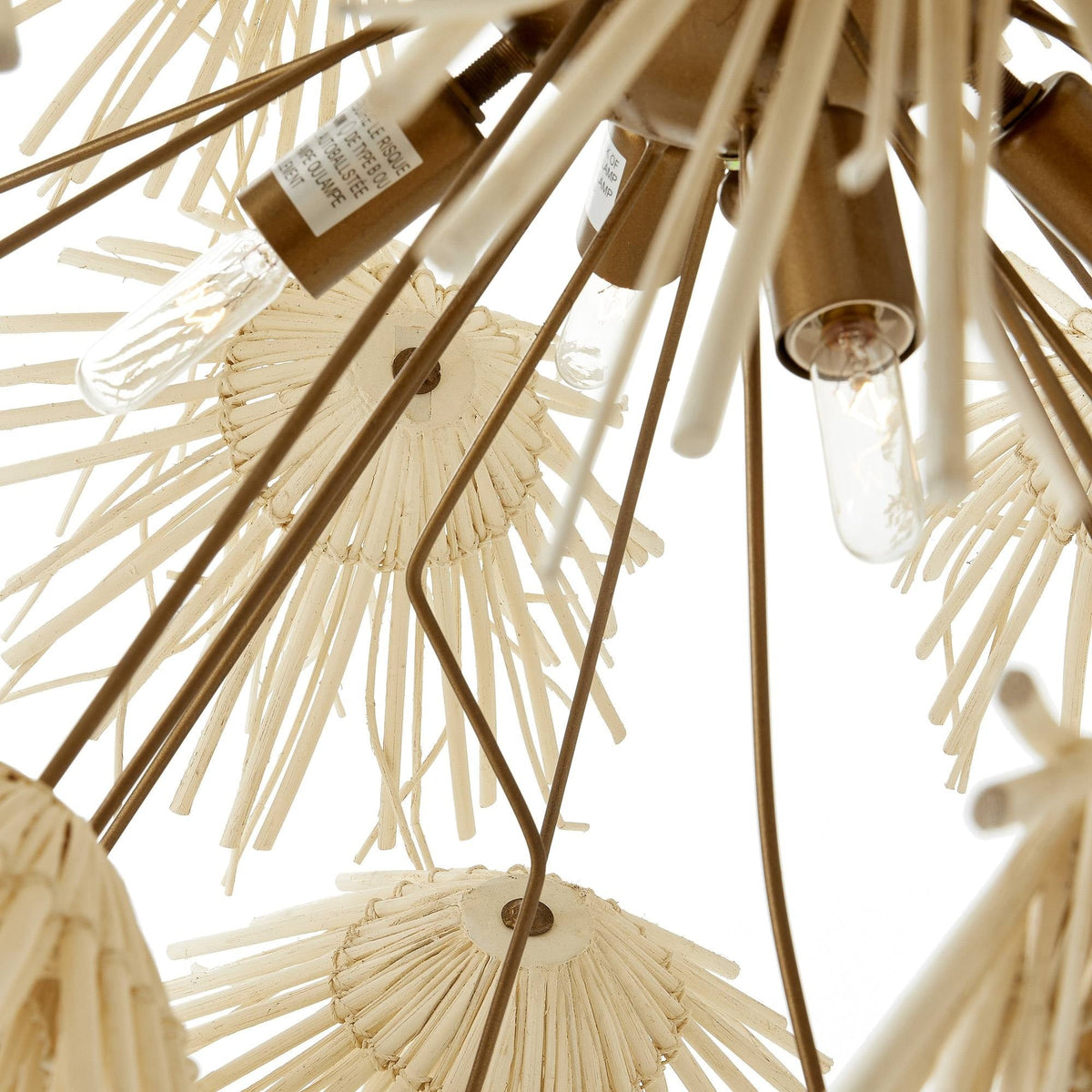Winona Chandelier DMS04 product image