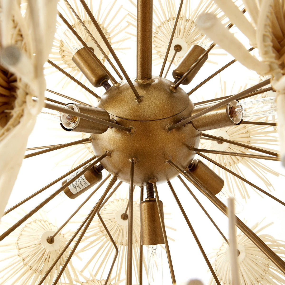 Winona Chandelier DMS04 product detail image 4