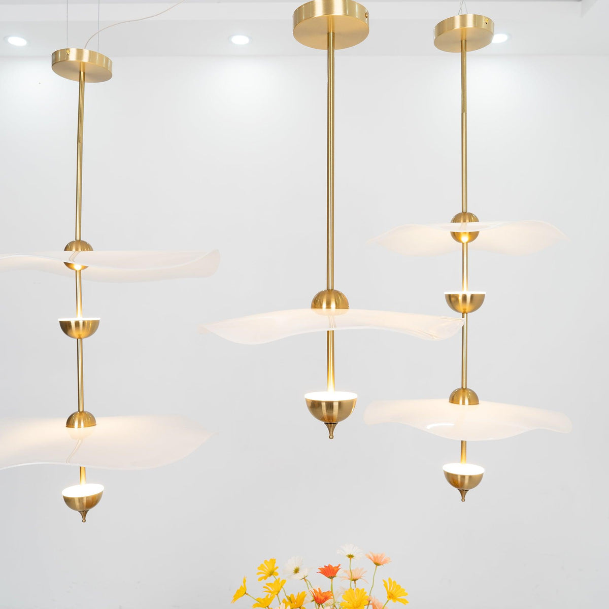 Double Biscuit Pendant Light