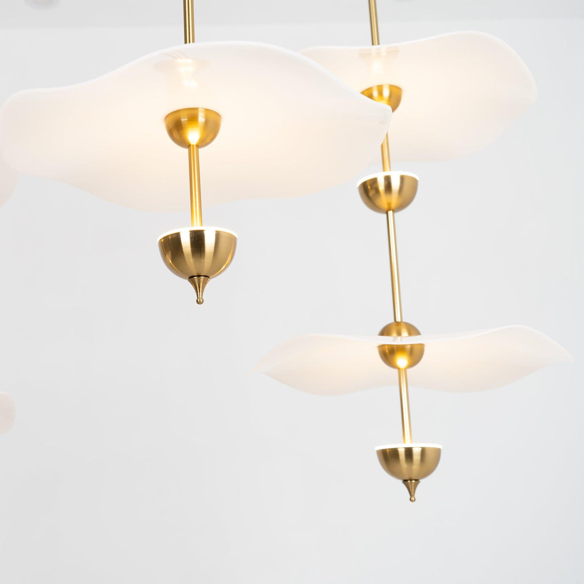 Double Biscuit Pendant Light