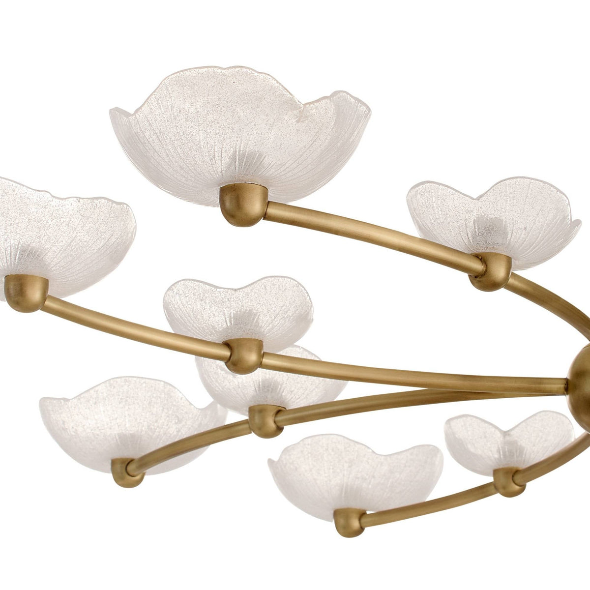 Fleurana Chandelier DLC51 product image