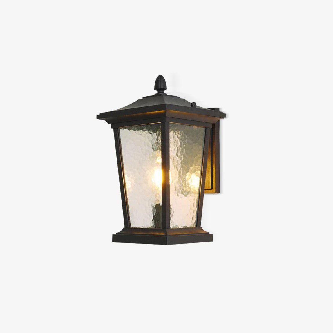 Lodge Birdcage Outdoor Wall Lamp Black Metal Clear Glass