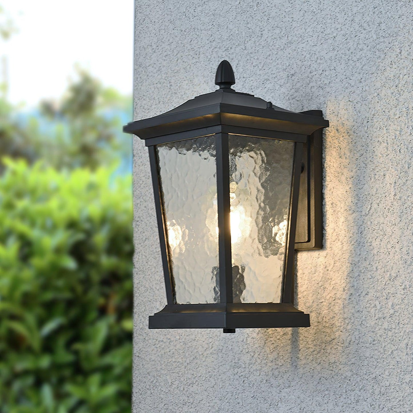 Lodge Birdcage Outdoor Wall Lamp Black Metal Clear Glass