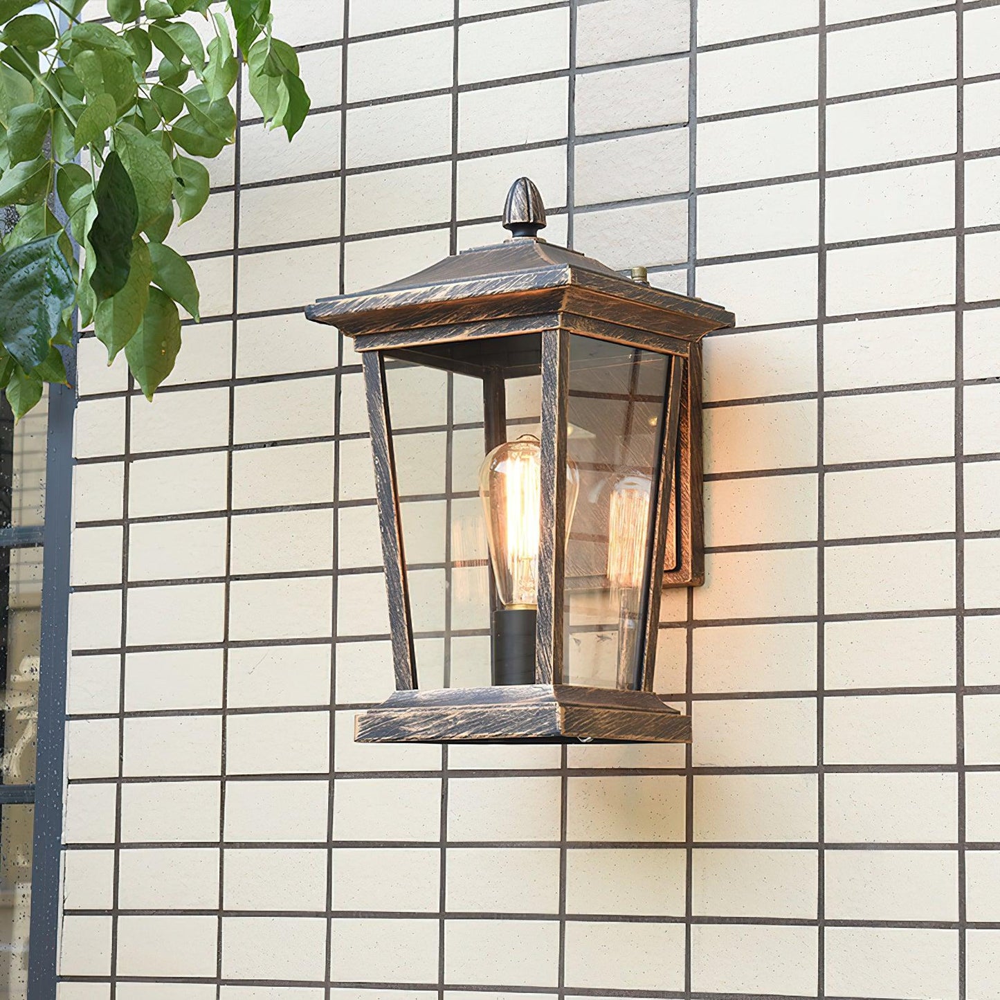 Lodge Birdcage Outdoor Wall Lamp Black Metal Clear Glass
