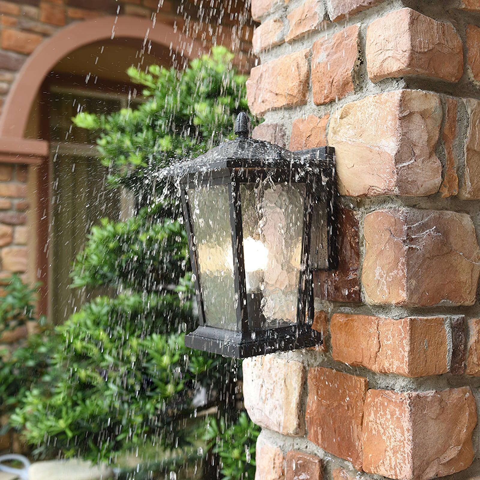 Lodge Birdcage Outdoor Wall Lamp Black Metal Clear Glass