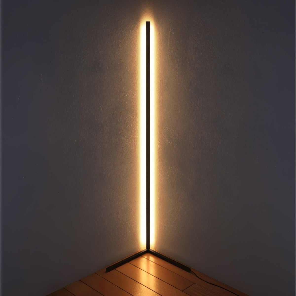 Minimalist LED Floor Lamp