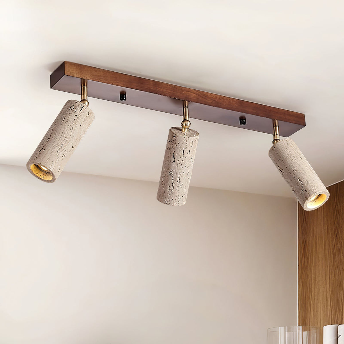 Nimbus Ceiling Spotlight