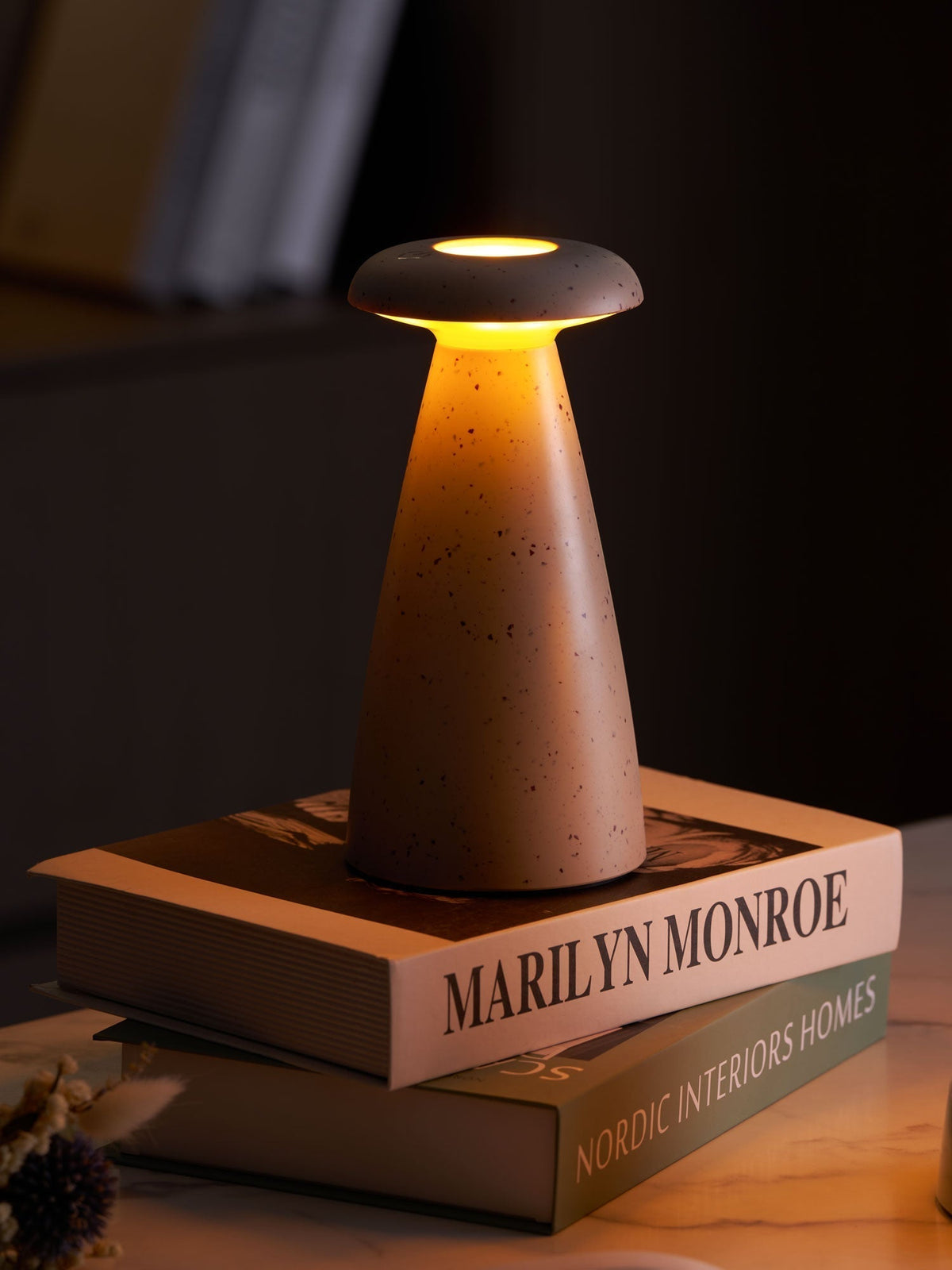 Noko Mushroom Rechargeable Table Lamp