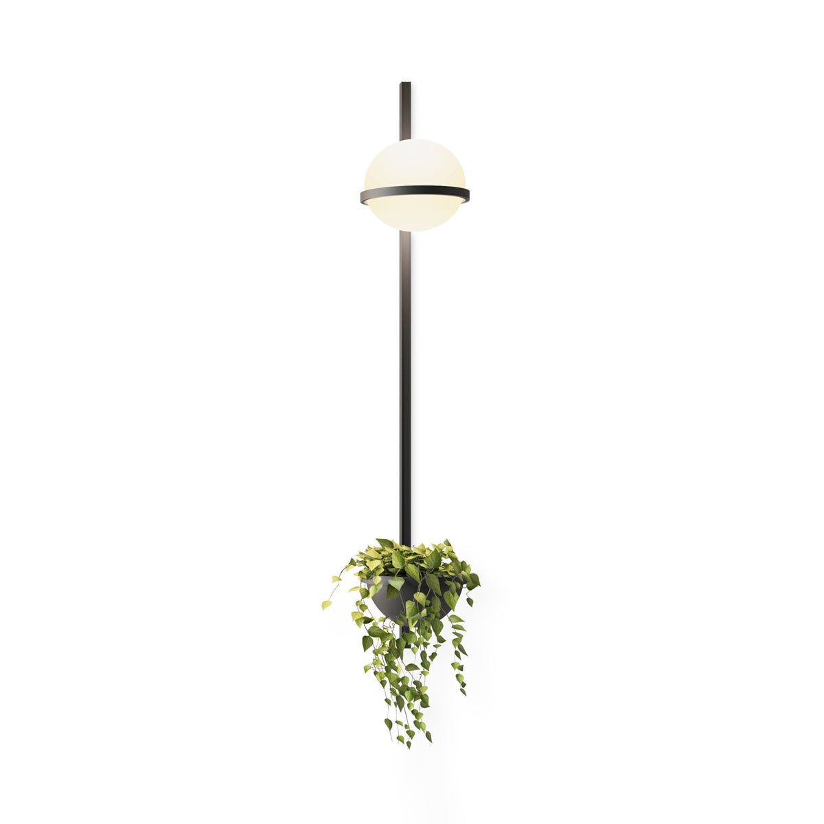 Solstice Wall Light