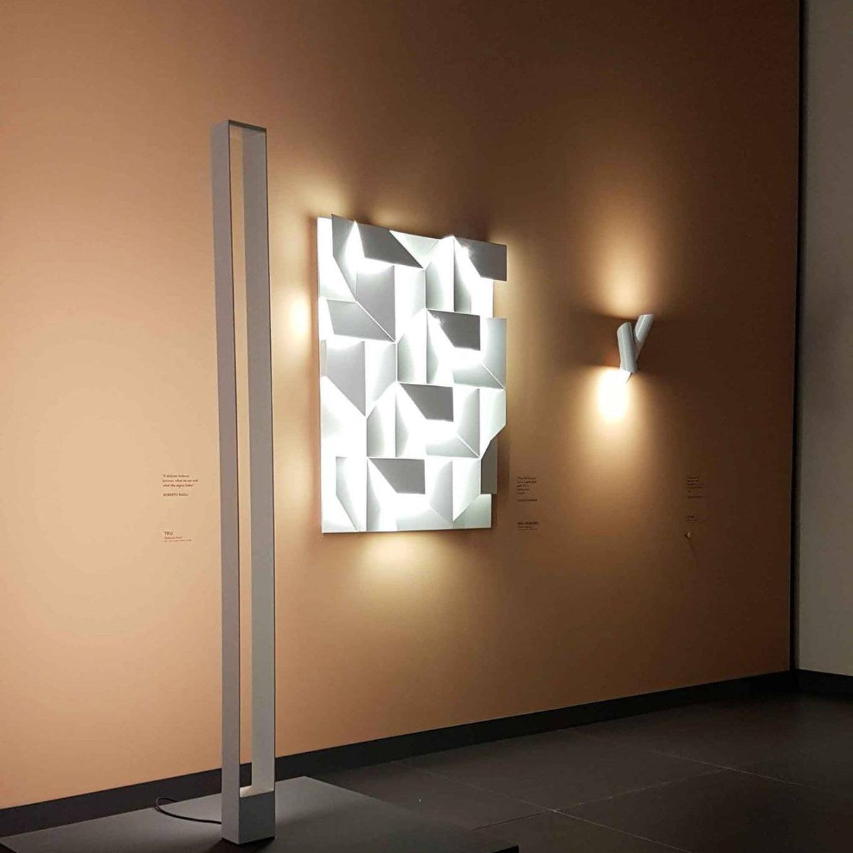 Shadows Grand Plug-in Sconce