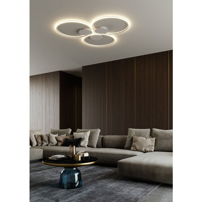 Lunar Wall / Ceiling Light