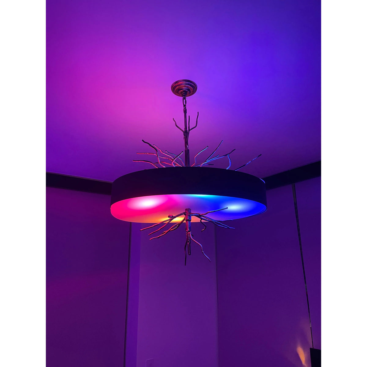 Organic Drum Branch Pendant Light